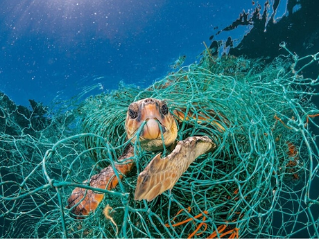 뉴스기사 썸네일